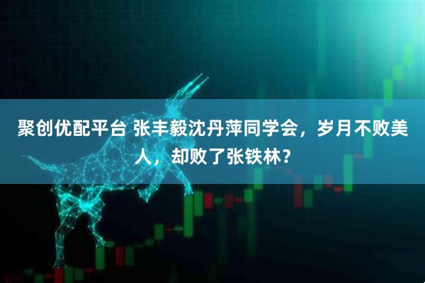 聚创优配平台 张丰毅沈丹萍同学会，岁月不败美人，却败了张铁林？