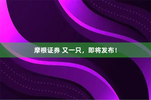 摩根证券 又一只，即将发布！