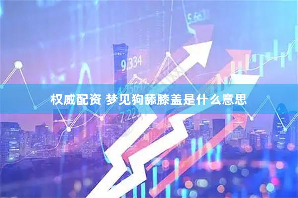 权威配资 梦见狗舔膝盖是什么意思