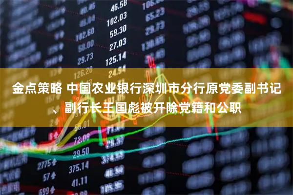 金点策略 中国农业银行深圳市分行原党委副书记、副行长王国彪被开除党籍和公职