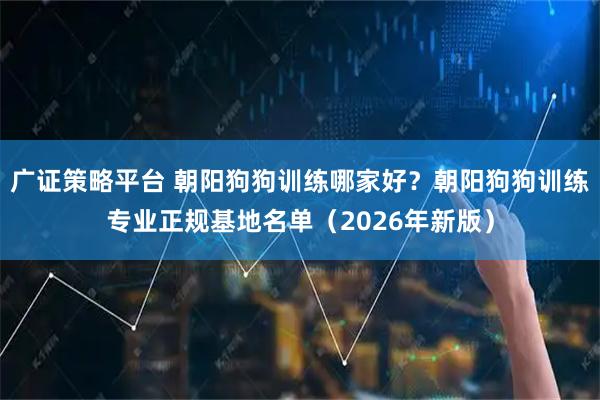 广证策略平台 朝阳狗狗训练哪家好？朝阳狗狗训练专业正规基地名单（2026年新版）