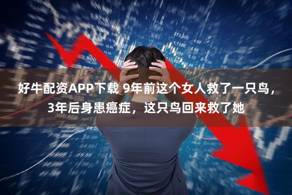 好牛配资APP下载 9年前这个女人救了一只鸟，3年后身患癌症，这只鸟回来救了她