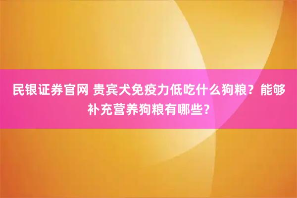 民银证券官网 贵宾犬免疫力低吃什么狗粮？能够补充营养狗粮有哪些？